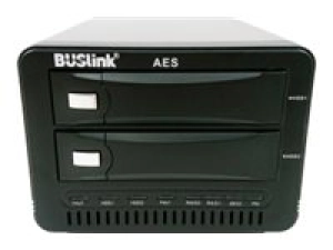 BUSlink CSE-40TB2G2R1 - Hard drive array - 40 TB - 2 bays - HDD 20 TB x 2 - SATA 6Gb/s, USB 3.2 Gen 2 (external) - TAA Compliant