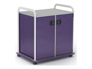 Paragon A&D Crossfit Storage - Trolley - 14 drawers - 2 doors - 16 gauge tubular steel, TFM - frost, lello, wisdom CFD30WDTOTES17-918YZY