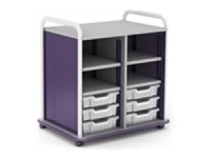 Paragon A&D Crossfit Storage - Trolley - 20 drawers - 4 shelves - 16 gauge tubular steel, TFM CFD60OF17CO-918XZX