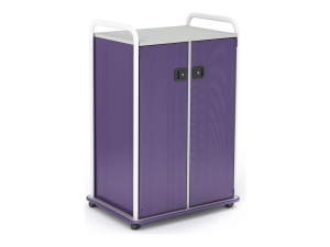 Paragon A&D Crossfit Storage - Trolley - 22 drawers - 2 doors - 16 gauge tubular steel, TFM - frost, lello, wisdom CFD42WDTOTES17-918YZY