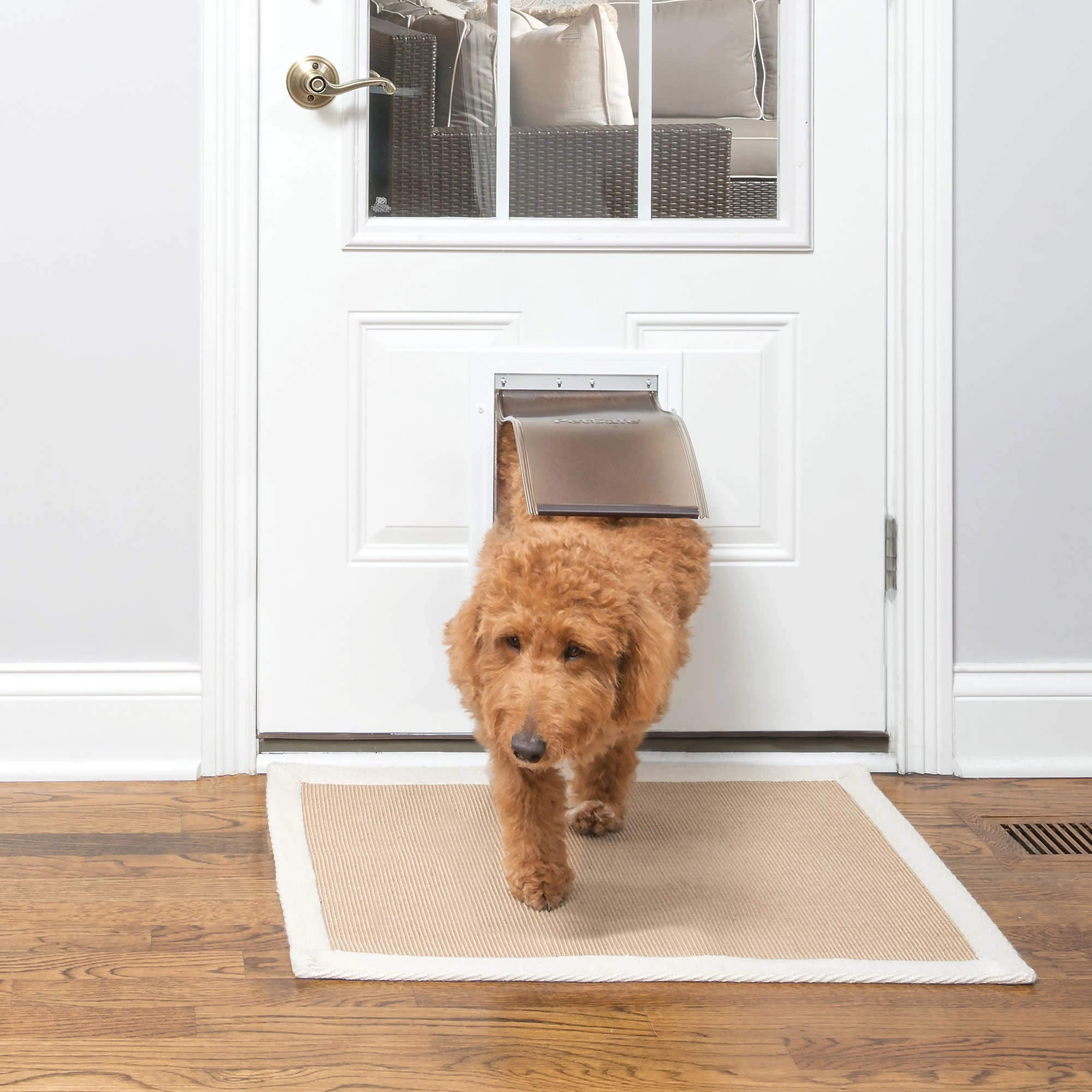 PetSafe® Freedom Aluminum Pet Door, White