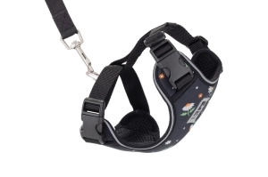 RC Pets Adventure Kitty Harness for Cats in Daisies Pattern