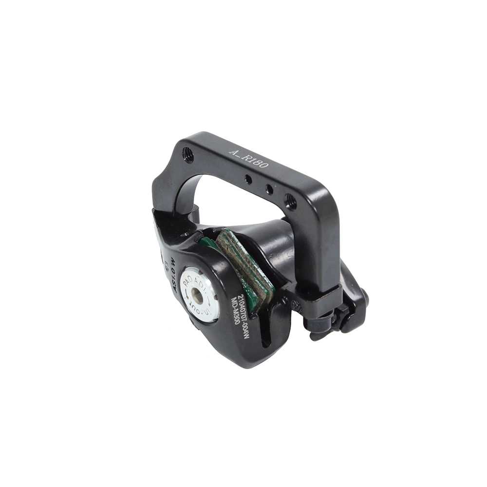 Rear Disc Brake