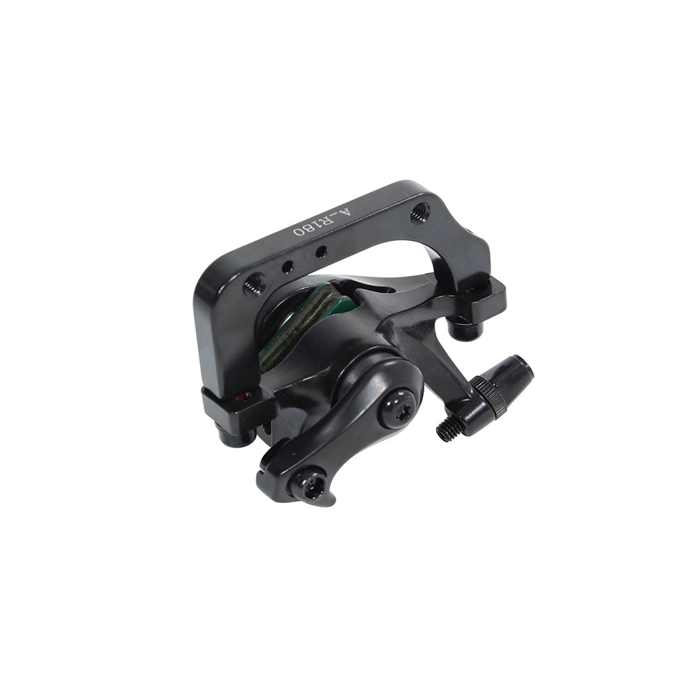 Rear Disc Brake