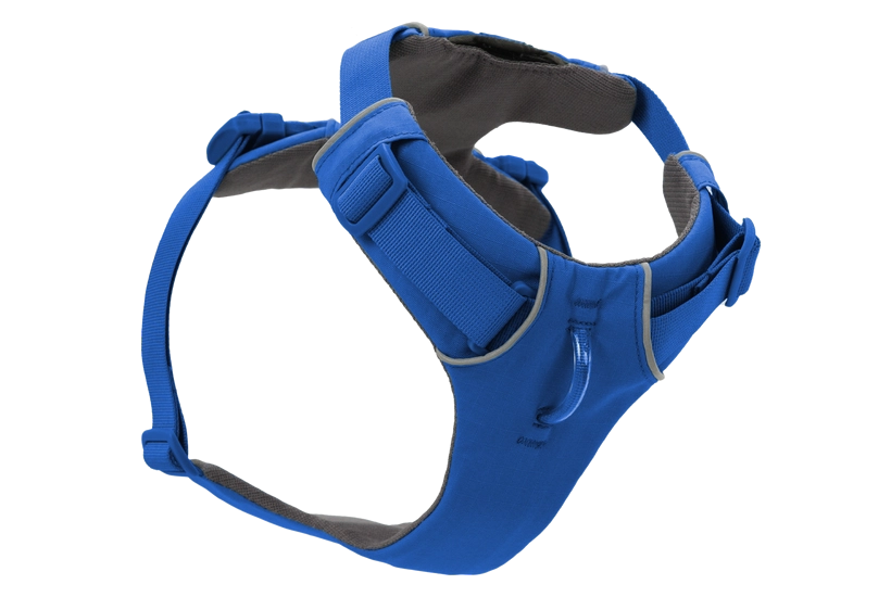 Ruffwear Front Range Dog Harness in Blue Pool