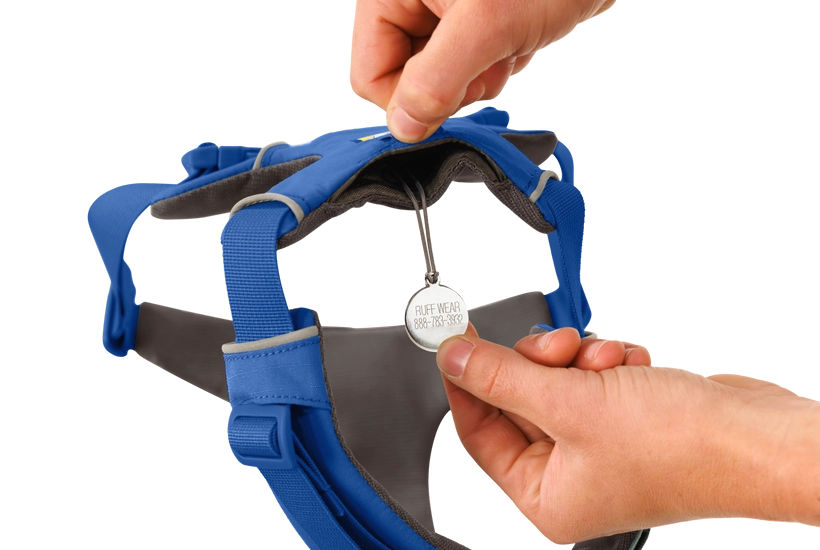 Ruffwear Front Range Dog Harness in Blue Pool