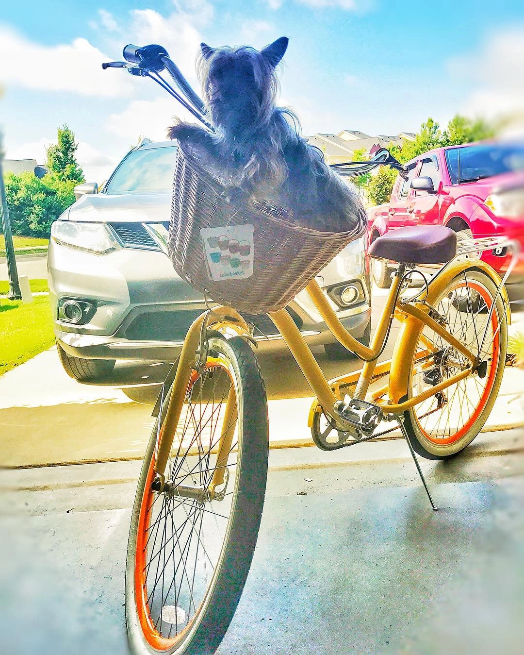 sixthreezero EVRYjourney Women's 26" 21 Speed Step-Through Touring Hybrid Bicycle